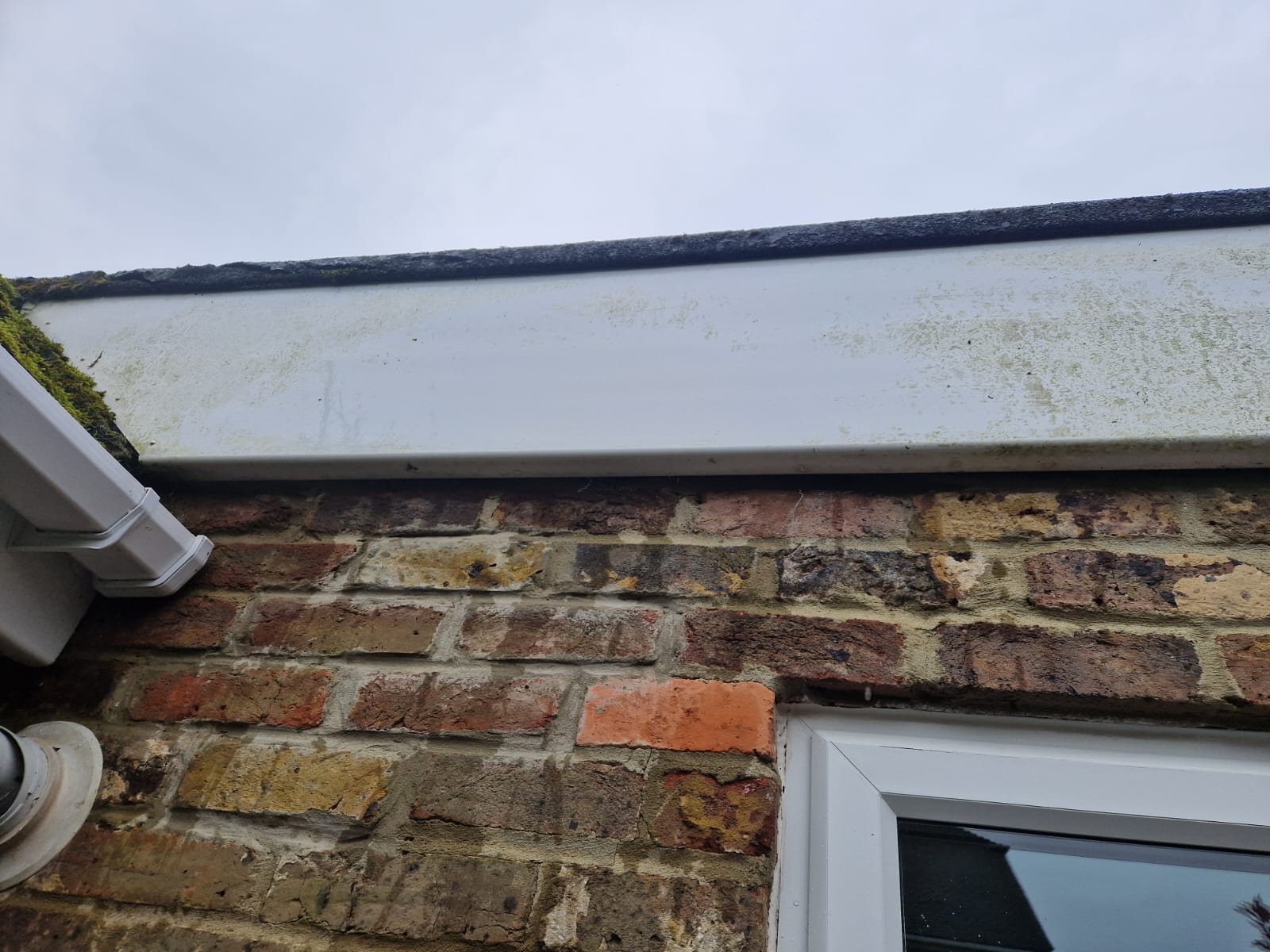 exterior cleaning in hartley wintney